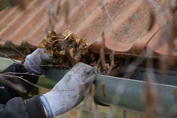 Cleaning the gutter from autumn leaves before winter season. Roof gutter cleaning process.	