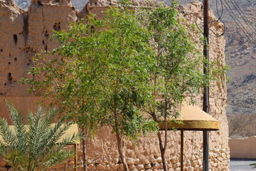 rustaq beautiful place