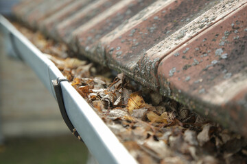 Gutter full of old autumn leaves and dirt.