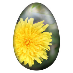 Ei mit Löwenzahn-Blüte bedruckt