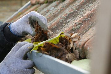 Cleaning the gutter from autumn leaves before winter season. Roof gutter cleaning process.	