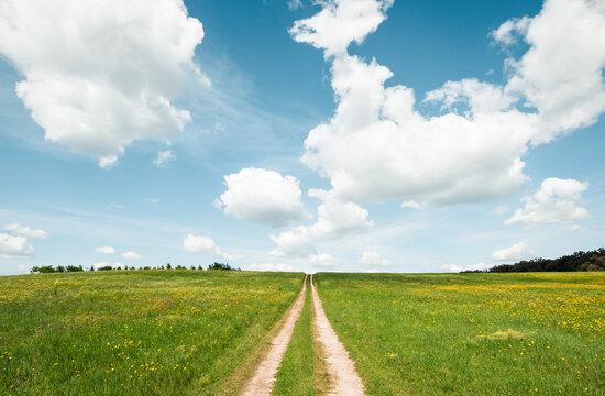 Dirt road in the green meadow. Vanishing point track in hilly countryside field.