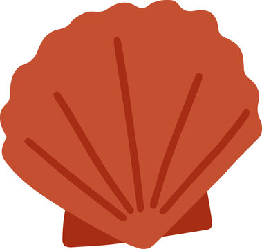 Sea Shell Cartoon Illustration
