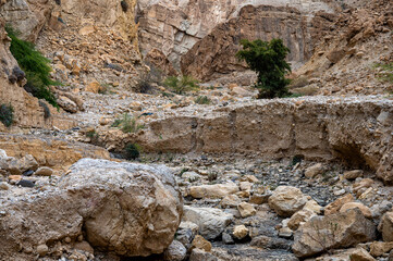 Rocky gorge of the Wadi Karak near the Dead Sea, Moab Plateau, Jordan.