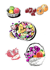 フルーツ素材　fruits　illustration
