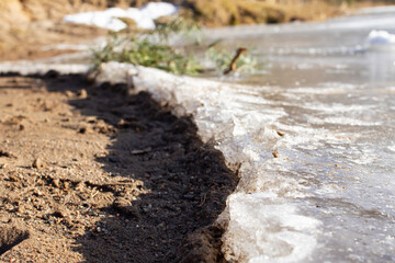 Edge of ice on the sand on the beach