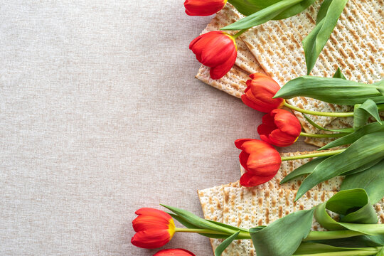 Red tulips and matzah bread for Jewish holiday Pesach on cotton fabric background with copy space.