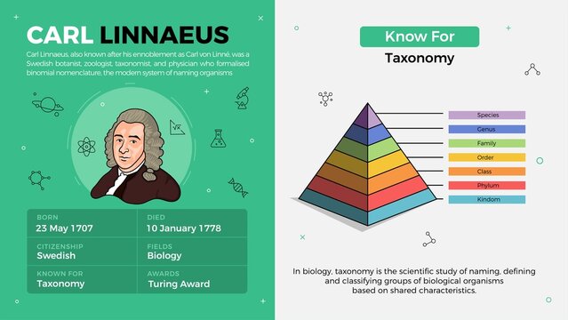 Popular Inventors and Inventions Vector Illustration of Carl Linnaeus and Taxonomy