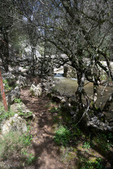 Rio con puene romano