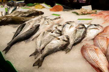 Fisch Markt in einer Verkaufstheke