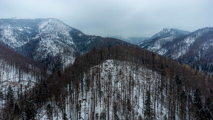 Winter Mountains