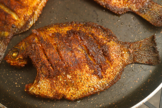 Karimeen fry fish fry stock images