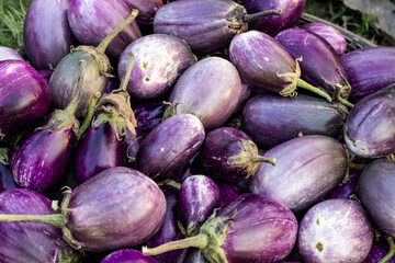 A pile of purple eggplant on a crate close up top view