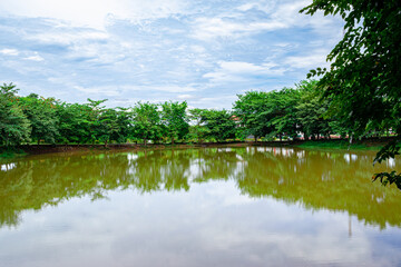 Lake in the park