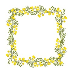 Hand drawn mimosas frame. Vector illustration can be used for fabrics, textile, web, invitation, card, wrapping paper.