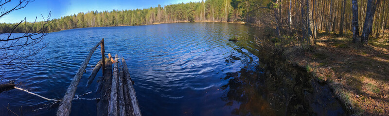 photo background view of the reserved forest lake in the Mari pine taiga, in the Volga region, Russia