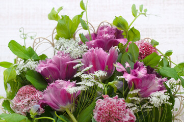 フリンジ咲きのチューリップ   