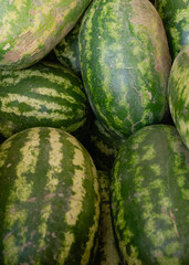 striped watermelon texture
