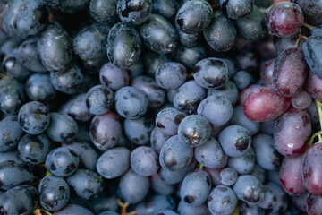 black ripe grapes close-up