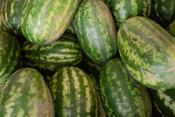 a lot of green watermelons lie on the market counter