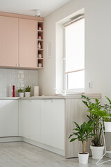 Detal na kuchnię w minimalistycznym nowoczesnym stylu. Białe i różowe fronty mebli oraz sprzęt. Donice z kwiatkami - obrazy, fototapety, plakaty