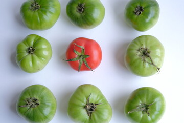 difference concept. one red tomato among green tomatoes. Leadership, uniqueness, think different, business success.