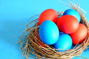 painted blue and red easter eggs in bird nest on blue background, close-up 