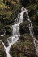 愛媛県大洲市　白滝公園の滝