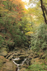 愛媛県大洲市　秋の白滝公園の風景