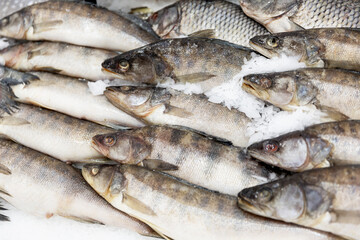 Chilled fish on ice in the store. Healthy diet food. Close-up.