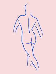 Fototapeta premium Trendy line art woman body. Minimalistic blue lines drawing. Female figure continuous line abstract drawing. Modern scandinavian design. Naked body vector illustration.
