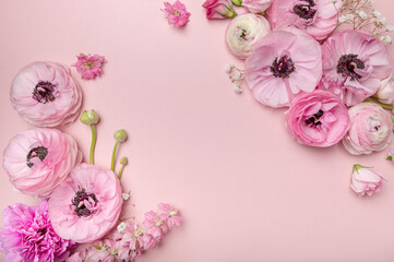 Tender ranunculus flowers in flatlay on pink background with copy space. Bunch of Persian buttercup in floral arrangments, top view - obrazy, fototapety, plakaty