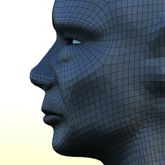 3d rendered illustration of a head