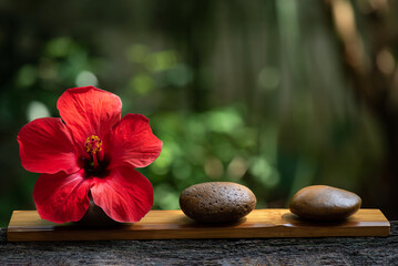 Red Hibiscus flower on bokeh nature background.