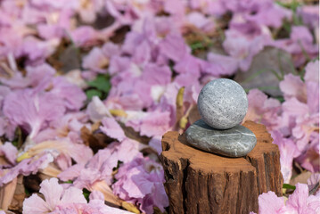 Stones ,wood on pink tabebuia rosea flowers background.