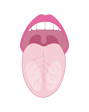 Scientific Designing of Human Tongue. Colorful Symbols. Vector Illustration.