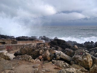 On the shore of the ocean. Portugal.  March.