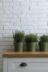 Different aromatic potted herbs on chest of drawers near white brick wall