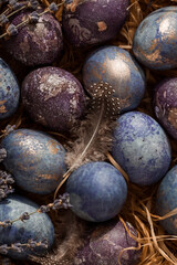 Purple, blue and golden eggs on a dark concrete background. The purple hue trend of 2022 is very peri. Easter card with a copy of the place for the text. Natural dye karkade tea. Top view.