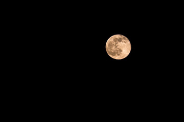 Fototapeta premium The Worm Moon, the full moon in March, with copy space