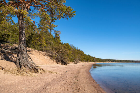 Lappohjanranta recreation area in spring, coast and sea, Hanko, Finland