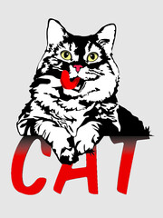 cat drawubg for illustration