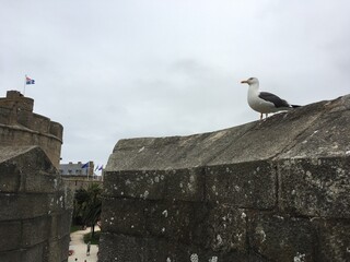 Saint-Malo ist eine Hafenstadt in Frankreich. Sie befindet sich im Nordwesten des Landes in der...