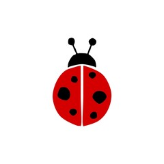 Hand drawn ladybug bug icon