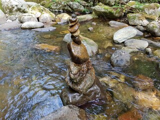 natural landscape brook