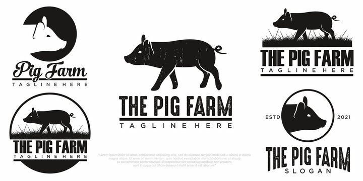 set of pig logo icon design vector