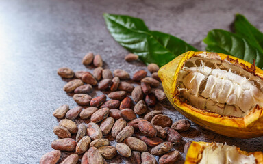 Cocoa Beans and Cocoa Fruits   with raw Cocoa