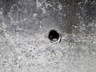 drain pipe on concrete wall