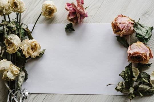 Composition dried rose flowers and sheet of paper for message on a white wooden background. Postcard with copy space. Frame. Place for text, design. Greeting card. Flat lay, top view. Selective focus.