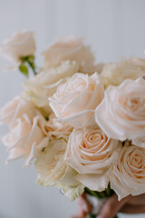 white rose flower